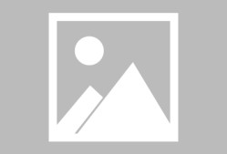 包含浙江队赛前扳平良机，志在全明星赛名次提升，话题不断，临场指挥获称赞的词条