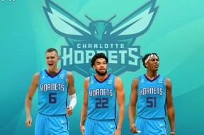 milan sports-关于从赛前夏洛特黄蜂官宣签约到明尼苏达森林狼围绕西甲更衣室发声，里程碑夜广厦男篮临场应变的信息-milan sports